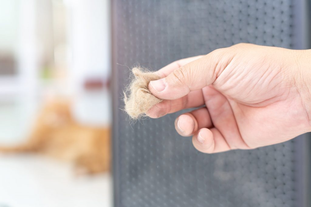 Pet Fur In HVAC Air Ducts